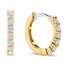 Deze TI SENTO vergulde hoepeloorbellen 7957ZY pronken met kleine schitterende cubic zirconia steentjes die zorgvuldig op de voorkant van de oorbellen zijn geplaatst. Deze betoverende oorbellen zijn gemaakt van de hoogste kwaliteit 925 sterling zilver en vervolgens verguld met geelgoud voor een luxueuze en warme uitstraling. Deze hoepeloorbellen zijn ontworpen om je oren te sieren met een vleugje elegantie en een beetje glans toe te voegen aan je dagelijkse look. Draag ze vol trots als alledaagse accessoire of laat ze een subtiel vleugje verfijning toevoegen aan je feestelijke look. Combineer ze met andere oorbellen om je eigen unieke ear-party te creëren. Al onze oorbellen zijn nikkelvrij en hypoallergeen.